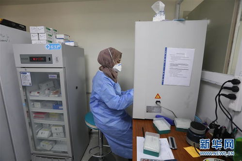 通訊 高溫與疫情下,中國援建實(shí)驗(yàn)室在伊拉克的堅(jiān)守